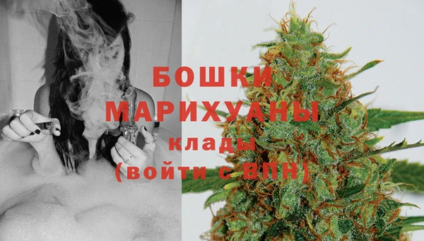 шишки Козловка