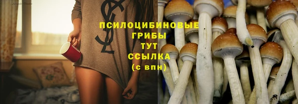 ALPHA PVP Кодинск