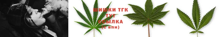 шишки Козловка