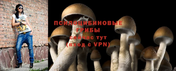 ALPHA PVP Кодинск