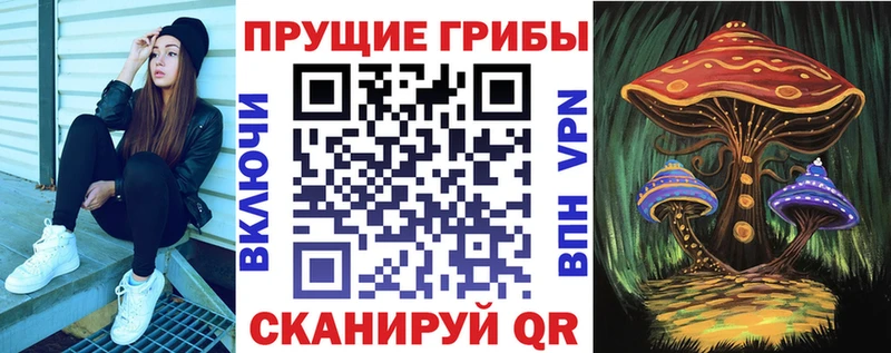 Купить закладки  Жигулёвск  Псилоцибиновые грибы мухоморы 